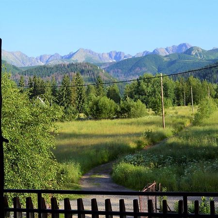 Pensjonat U Doroty, Zakopane - Twoje Miejsce W Gorach エクステリア 写真