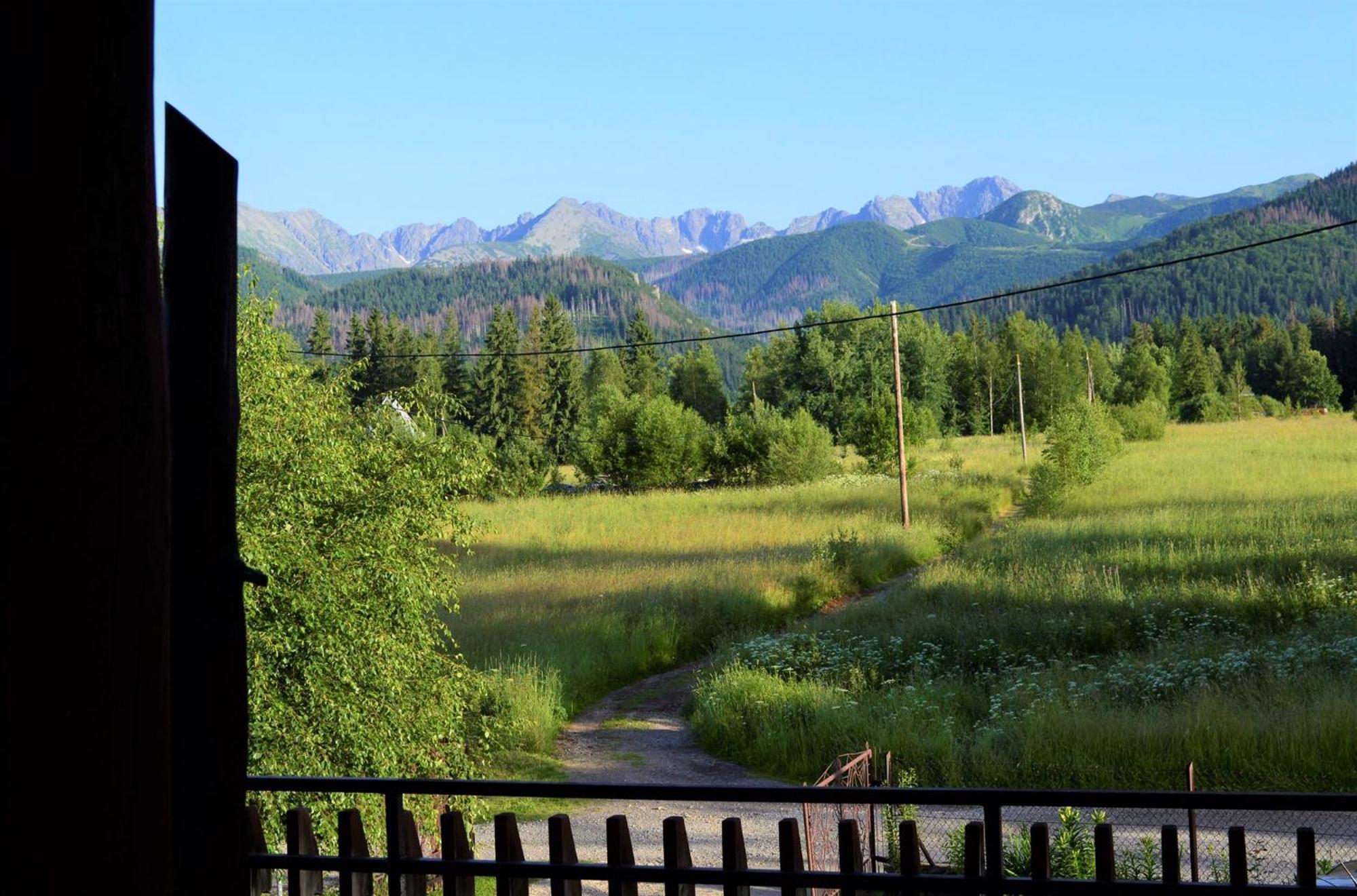 Pensjonat U Doroty, Zakopane - Twoje Miejsce W Gorach エクステリア 写真