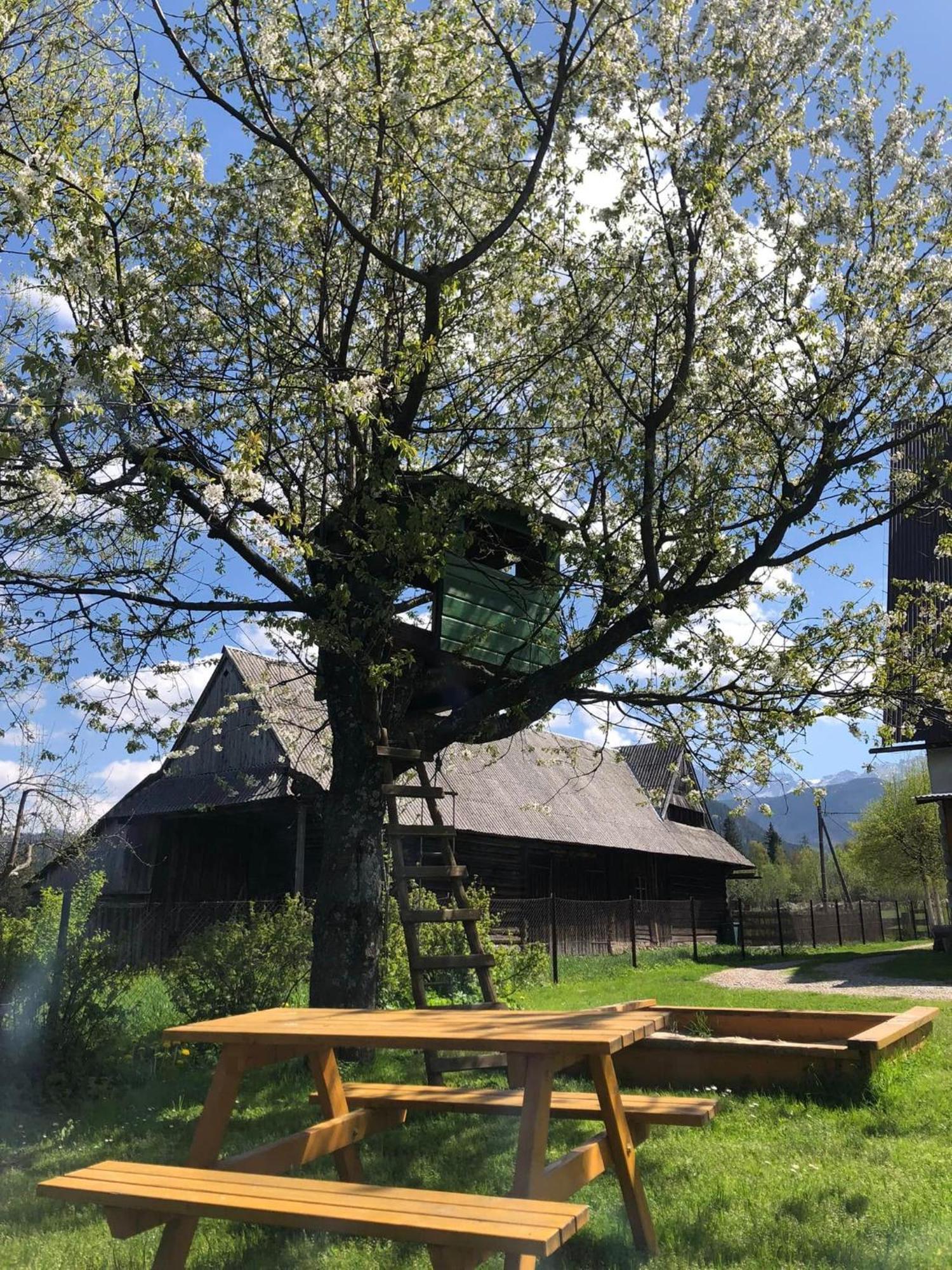 Pensjonat U Doroty, Zakopane - Twoje Miejsce W Gorach エクステリア 写真
